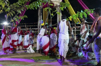 Members of the tea tribe community holds a karam tree as they celebrate the vibrant Karam Festival