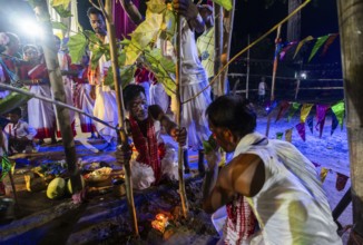 Members of the tea tribe community install Karam tree as they celebrate the vibrant Karam Festival