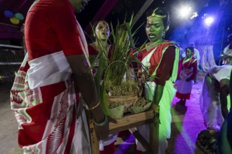Members of the tea tribe community celebrate the vibrant Karam Festival with traditional rituals at