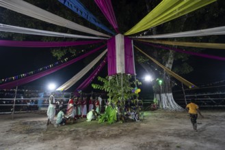 Members of the tea tribe community celebrate the vibrant Karam Festival with traditional rituals at