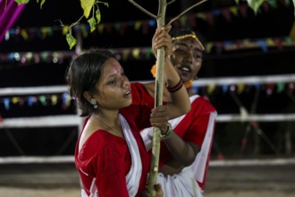 Members of the tea tribe community holds a karam tree as they celebrate the vibrant Karam Festival