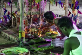 Members of the tea tribe community celebrate the vibrant Karam Festival with traditional rituals at