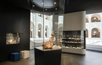 FocusTerra Geological Museum of ETH Zurich, Department of Earth Sciences, Sonneggstrasse, Zurich,