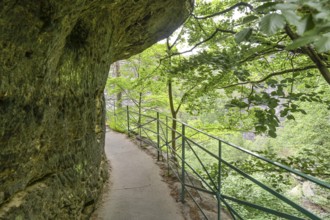 Hiking trail to the Pravcicka Brana Prebisch Gate near Hrensko, Elbe Sandstone Mountains, Czech