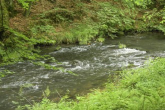 River Kamnitz near Hrensko, Czech Republic