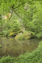 River Kamnitz near Hrensko, Czech Republic