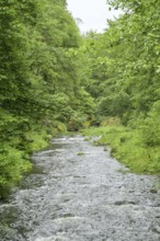 River Kamnitz near Hrensko, Czech Republic