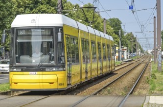 Tram, Prenzlauer Allee, Prenzlauer Berg, Pankow, Berlin, Germany