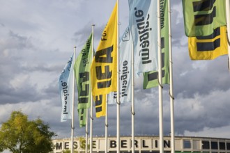 IFA flags fly in front of the south entrance of Messe Berlin at the IFA consumer electronics