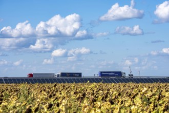 86, 5 MW peak ground-mounted photovoltaic systems, by RWE, with over 141, 000 solar modules, on a