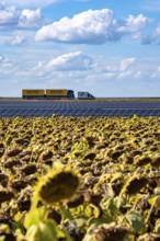 86, 5 MW peak ground-mounted photovoltaic systems, by RWE, with over 141, 000 solar modules, on a