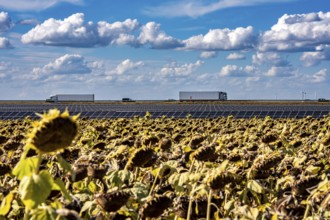 86, 5 MW peak ground-mounted photovoltaic systems, by RWE, with over 141, 000 solar modules, on a