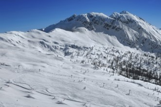 Alpe Tognola ski area, San Martino di Castrozza, Trentino, South Tyrol, Italy