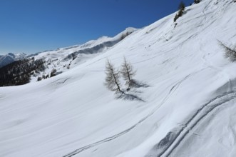 Alpe Tognola ski area, San Martino di Castrozza, Trentino, South Tyrol, Italy