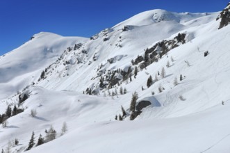 Alpe Tognola ski area, San Martino di Castrozza, Trentino, South Tyrol, Italy