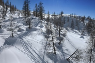 Alpe Tognola ski area, San Martino di Castrozza, Trentino, South Tyrol, Italy