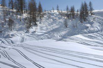 Alpe Tognola ski area, San Martino di Castrozza, Trentino, South Tyrol, Italy