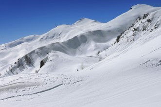 Alpe Tognola ski area, San Martino di Castrozza, Trentino, South Tyrol, Italy
