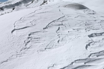 Snow drifts, Alpe Tognola ski area, San Martino di Castrozza, Trentino, South Tyrol, Italy