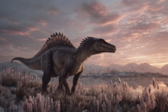 A dinosaur, spinosaur, spinosaurus, stands in a primeval landscape, AI generated