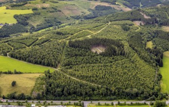 Aerial view, forest area wind fallow with forest damage, hilly landscape, Bad Berleburg,