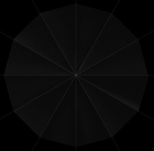 Illustration of a frontal spiderweb in black back