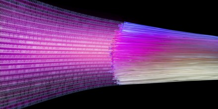 Symbolic optical fiber data transmission in black back