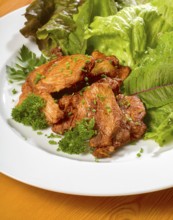 Roasted chicken dish with fresh green salad on a white plate