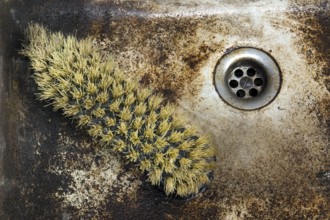 Detail shot of a old dirty sink with scrubber inside