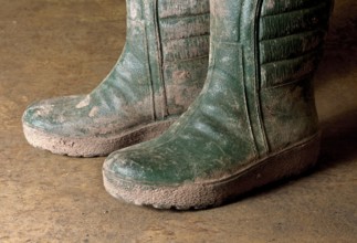 Pair of green dirty gumboots in rusty back