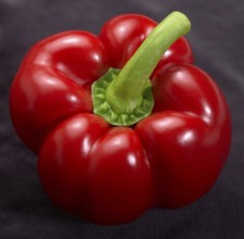 Fresh red bell pepper in dark back