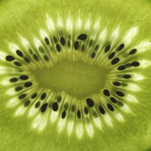 Full frame detail of a thin translucent sliced kiwifruit