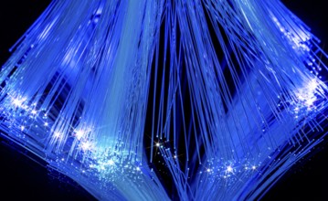 Blue illuminated optical fiber closeup in black back