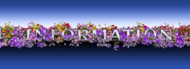 Information lettering framed by colorful flowers in gradient blue back