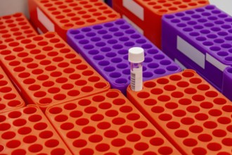 Closeup shot of medical sample racks