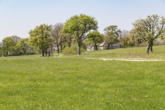 Idyllic rural scenery showing a farmstead behind some trees at spring time in Southern Germany