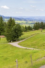 Idyllic scenery around the Immenstaedter Horn, a mountain in the Upper Allgaeu in Bavaria, Germany