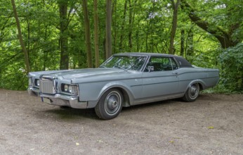Historic american car at the edge of a forest