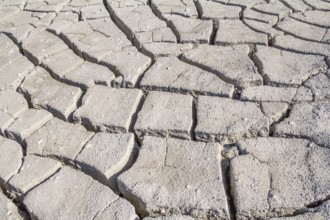 Natural abstract background of fissured dry loam