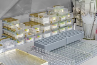 Detail of a workplace for microbiological research