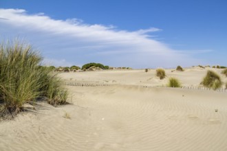 Sunny scenery at the Espiguette Beach in southern France