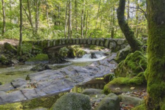 Forest scenery around a small historic stone bridge at the Vologne river near Gerardmer in the