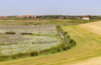 Impression of Spiekeroog, one of the East Frisian Islands at the North Sea coast of Germany