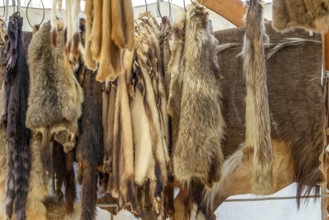 Various hanging fur pieces seen at a medieval market