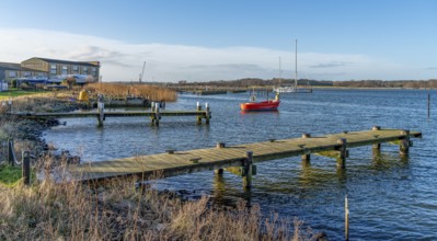 Scenery around Maasholm, a municipality in Schleswig-Holstein, Northern Germany