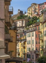 Scenery around Riomaggiore, a village at a coastal area named Cinque Terre in Liguria, located in