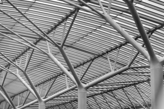 Full frame detail showing the substructure of a modern metallic roof construction