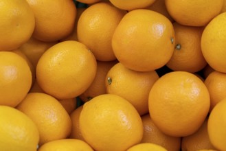 Full frame shot showing lots of fresh orange lemon fruits