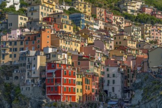 Scenery around Riomaggiore, a village at a coastal area named Cinque Terre in Liguria, located in