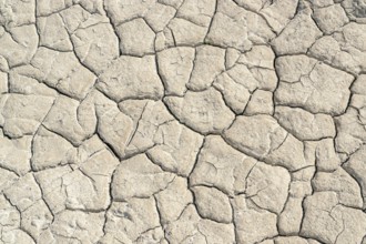 High angle view of a sunny illuminated dry and clefty soil surface